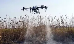 Büyükşehir’den Yıl Boyu Sivrisinek ve Zararlı Mücadelesi