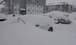 Bitlis’te Yoğun Kar: 288 Köy Yolu Kapandı