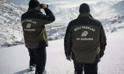 Yasa Dışı Avcılığa Rekor Ceza: 984 Bin TL