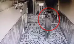 Kamerayı Gören Şüpheli Testereyi Bıraktı
