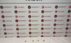Habur’da TIR’da 2 Kiloya Yakın Kaçak Altın Yakalandı