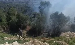 Orman Yangını Büyümeden Söndürüldü