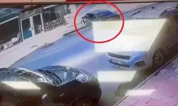 Elazığ’da Otomobil Mobilya Mağazasına Girdi