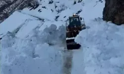 Bitlis’te Çığ Nedeniyle Kapanan Yollar  Yeniden Açıldı