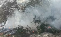 Kadirli’de Orman Yangını Kısa Sürede Söndürüldü