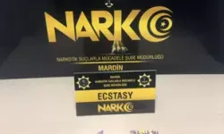 Mardin’de Uyuşturucu Operasyonu: 2 Gözaltı