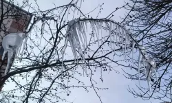 Kars’ta Soğuk Hava: Ağaçlarda Buz Sarkıtları Oluştu