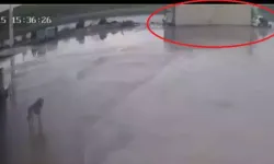 TIR Otomobilin Üzerine Devrildi: 2 Yaralı