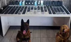 Şırnak’ta Kaçakçılık Operasyonu: 115 Gözaltı