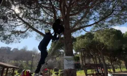 Avcılar’da Topu Almak İsterken Ağaçta Mahsur Kaldı