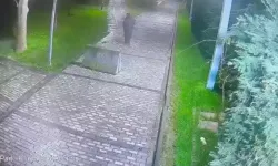 Parkta Cep Telefonu Hırsızlığı: Şüpheli Kameraya Yakalandı