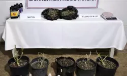 Aksu’da Skunk Operasyonu: 1 Şüpheli Yakalandı