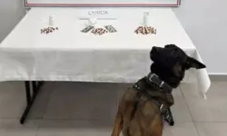 Aydın’da Uyuşturucu Operasyonu: 10 Tutuklama