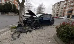 Otomobil Ağaca Çarptı: Sürücü Yaralanmadı