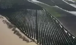 Adana’da Sel Felaketi: Tarım Arazileri Sular Altında