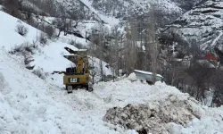 Yeşiltaş Köyünde Çığ Paniği: Ekipler Müdahale Ediyor