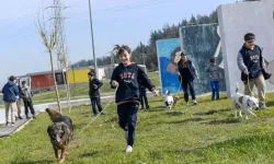 Bakımevlerindeki Hayvanlar Yeni Sahiplerini Bekliyor