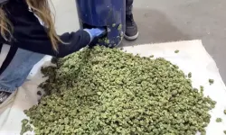 İpsala Sınır Kapısı’nda 35 Kilo Uyuşturucu Ele Geçirildi