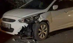 Başıboş At Dehşeti: Park Halindeki Araçlara Çarptı