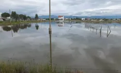 Burhaniye’de Sağanak Yazlık Evleri ve Tarımı Vurdu