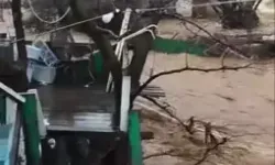 Yalova’da Sağanak Sele Dönüştü: 5 Büyükbaş Telef Oldu