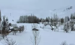 Yüksekova Yeniışık Köyü Kara Gömüldü