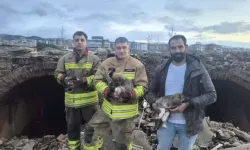 Eski Fabrikadaki Kuyudan 3 Yavru Köpek Kurtarıldı