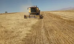 Tokatlı Çiftçiler Dikkat: ÇKS Güncelleme Başvuruları Başlıyor