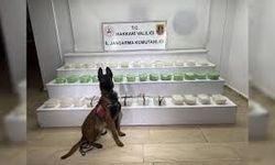 Van ve Hakkari’de 320 Kilo Uyuşturucu Ele Geçirildi