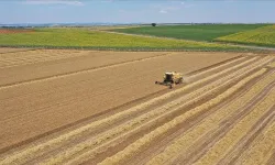 Niksar’da IPARD III 2026 Takvimi Açıklandı: 241 Milyon Avroluk Dev Destek