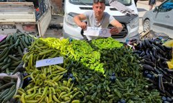 Erbaa Cumartesi Pazarında Yaz Bereketi: Fiyatlar Düştü, Tezgahlar Şenlendi