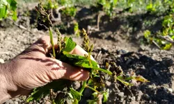 Erbaalılar Dikkat! Geçen Yıl Yaşanan Felaket İçin Bu Yıl Tekrar Uyarı Geldi