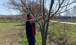 Yeşilyurt’ta Tarım Seferberliği: Hem Budama Eğitimi Hem Tarla Kontrolü!