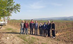 Erbaa’da Tarımın Nabzı Sahada Tutuluyor: Hem Maliyet Analizi Hem Teknik Destek!
