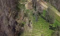 Rize’de 82 Yaşındaki Kadının Tehlikeli Teleferik Yolculuğu