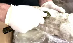 71 İlde Uyuşturucu Operasyonu: 903 Gözaltı, 373 Tutuklama