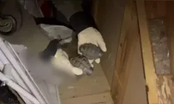 Uyuşturucu ve Patlayıcı Operasyonu: 3 Tutuklu