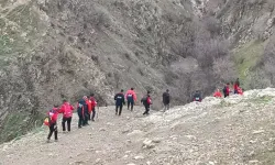 Bitlis’te 4 Yaşındaki R.I İçin Arama Çalışmaları Başladı