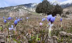Kardelenler Arasında 20 Km Yürüyüş