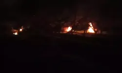 Bolu’da Çiftçiler Don Tehlikesine Karşı Ateş Yaktı