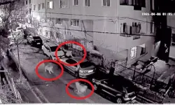 Sokakta Panik: Köpeklerden Kaçan Adam Araç Üzerine Çıktı