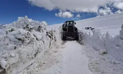 Digor’da Kar ve Tipi Nedeniyle Kapanan Köy Yolları Açılıyor