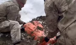 Van ve Hakkari’de 446 Kg Uyuşturucu: 8 Gözaltı