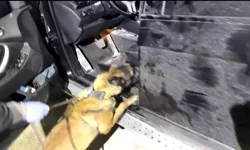 Batman’da TIR’da 24,6 Kilo Metamfetamin Ele Geçirildi