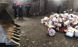 Aksaray’da 4,2 Ton Bozuk Gıda Ele Geçirilip İmha Edildi