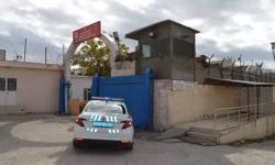 Mardin’de Firari Hükümlü Yakalandı