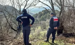 Yenicepınar Köyü’nde Yol Kenarında Çıkan Yangın Söndürüldü