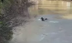 Tunceli’de Munzur Nehri’nde Kadın Cesedi Bulundu