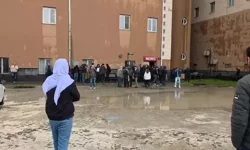 Ergani’de Yıldırım Faciası: 2 Çocuk Hayatını Kaybetti