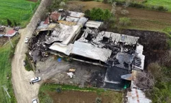 Samsun’da Meyve Deposu Yangını: Büyük Hasar Oluştu